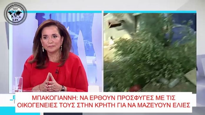 ΝΑ ΕΡΘΟΥΝ ΠΡΟΣΦΥΓΕΣ ΣΤΗΝ ΚΡΗΤΗ ΓΙΑ ΝΑ ΜΑΖΕΥΟΥΝ ΕΛΙΕΣ