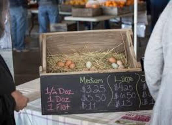 "Αυτό είναι Δικαιοσύνη τυλιγμένη με αξιοπρέπεια" 