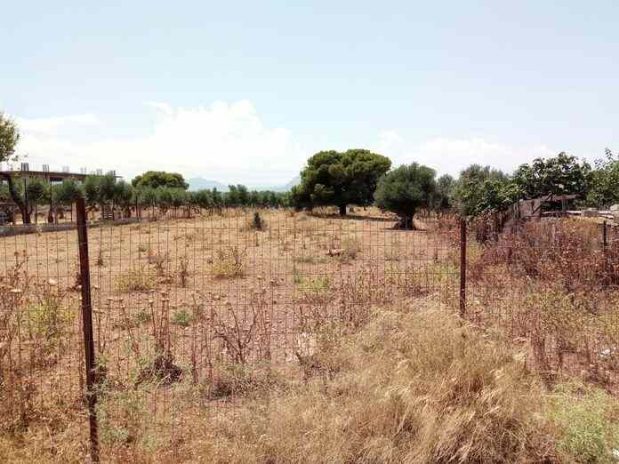 Πυροπροστασία ακινήτων: Και μέσω ηλεκτρονικής πλατφόρμας οι καταγγελίες πολιτών για τα ακαθάριστα οικόπεδα