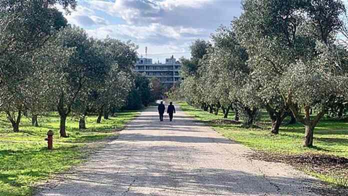 Απαγόρευση κυκλοφορίας σε άλση και δάση στην Αττική λόγω του ακραίου κινδύνου πυρκαγιάς