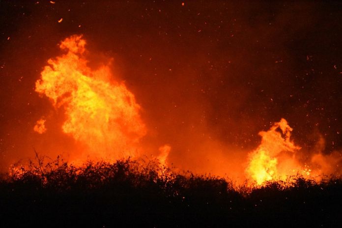 Φωτιές: 26 αγροτοδασικές πυρκαγιές μέσα σε 24 ώρες