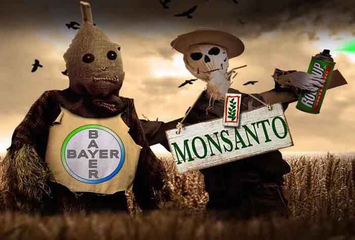 ΤΟ ΠΑΝΤΡΕΜΑ ΤΗΣ MONSANTO ΜΕ ΤΗΝ BAYER ΚΑΙ ΟΙ ΕΠΙΠΤΩΣΕΙΣ